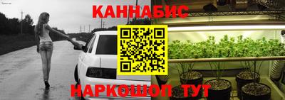 прущие грибы Партизанск